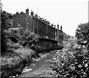 SD9625 : Cottages overhanging the River Calder, near Eastwood by Dr Neil Clifton