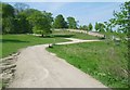 Wychwood Forest (pathway at Grand Vista)