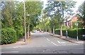 The Avenue - Lidgett Park Road