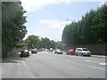 Princes Avenue - viewed from Street Lane