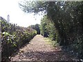 Footpath to east of Bristol Business Park