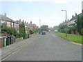 Roman Drive - viewed from Roman Terrace