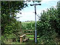 Footpath Near Nether Stowey