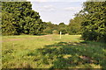 Looking along the footpaths on Bell Common.