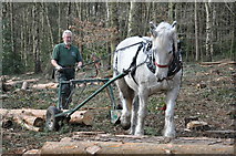 SK5115 : Horse Logging in the Out Woods, Charnwood Forest by Douglas Maas