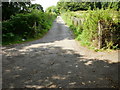 Allotment path to Cae Perllan road