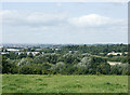 2009 : View north from Stockwood Lane