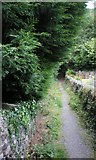SH7762 : The path from Peniel Bridge, Trefriw by Karen Chantrey Wood
