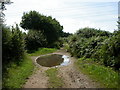 Verwood, bridleway