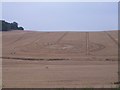 Crop Circle near Chartley Manor Farm