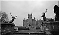 Ardross Castle and Stags