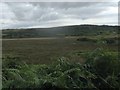 View southwards across a marshy valley floor