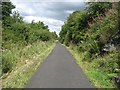 Cutting, Kilbarchan Loop Railway