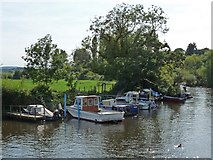 SY9287 : Moorings for small boats, River Frome, Wareham by Robin Drayton