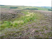 SD9922 : Moorland stream, Higher House Moor, Mytholmroyd by Humphrey Bolton
