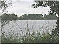 Lake at Nazeing Mead