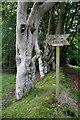 A footpath sign near Morriston Cottage