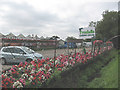 Tyndalls Garden Centre, Sedge Green