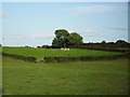 Tannaghmore Townland