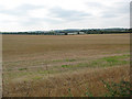 Field of stubble near Roydon Hamlet