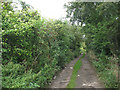 Old House Lane (bridleway)