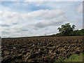 Newly ploughed field by Eastwick Road