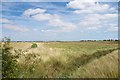 Towards Paglesham Creek