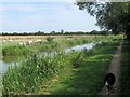 Aylesbury Arm: Approaching bend before Canal Bridge No 13