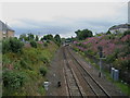 Railway near Polmont Station