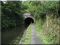 Entrance to Falkirk Tunnel