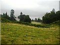 Fields Near Crossmount