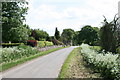 Road through South Lawn