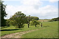 Track across the fields