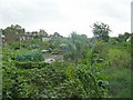 Allotments - Gledhow Valley Road