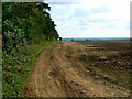 Field, Plank Quarry Plantation, near Fulbrook