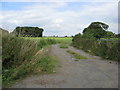 Cowley - Fields viewed from Cowley Lane