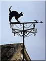 Weather vane, Yarcombe