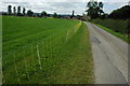 Farm road, Maidenhill Farm