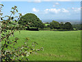 Fields near Merridge