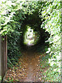 Footpath from Bridgewater Road to Berkhamsted Common