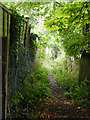 Footpath from Bridgewater Road to Berkhamsted Common