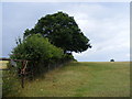 Footpath from New Farm towards Berkhamsted Common