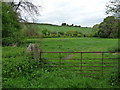 Shalbourne - Field Entrance