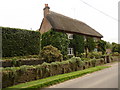 Wilton - Thatched Cottage