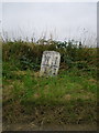 Balcray milestone - detail