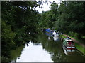 Boats moored at Canal Fields, Berkhamsted