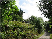 SO0513 : Path beside Brecon Mountain Railway by Gareth James