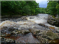 Rapids on the Water of Ruchill