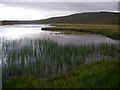 Lang Loch (south)