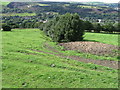 Footpath towards Uppermill near Knowl Farm